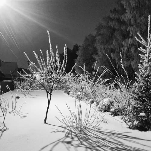 Photo #10248574