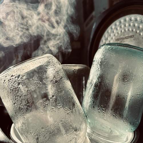 Photo #10248748