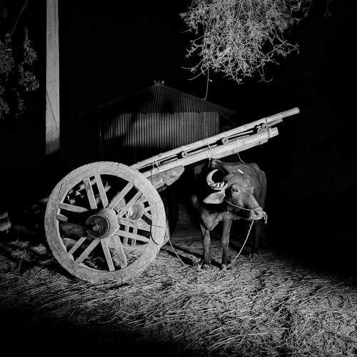 Photo #10249025