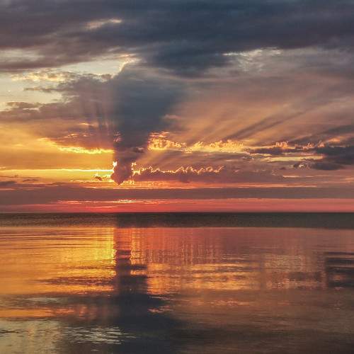 Photo #10249463