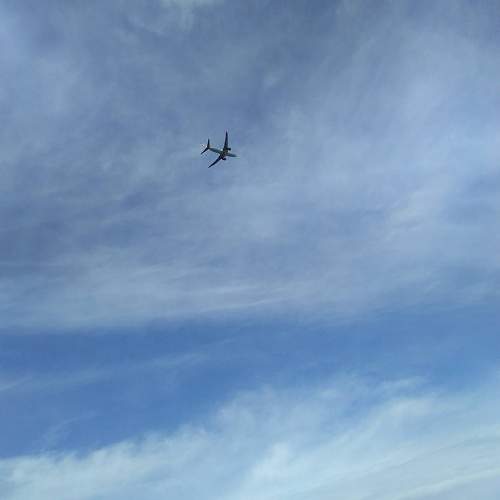 Photo #10249589
