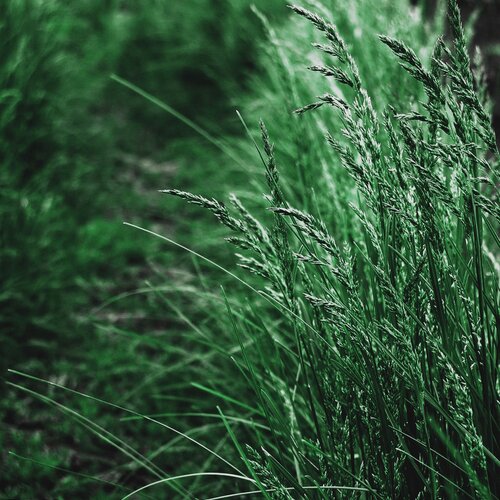 Photo #1026067