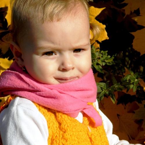 Photo #1026303