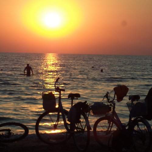 Photo #1027045