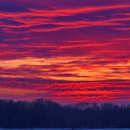 Photo #1027570