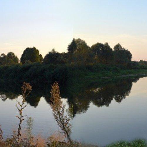 Photo #1028330