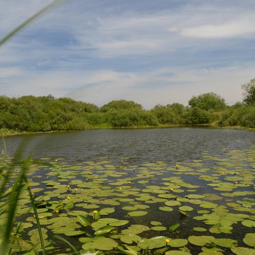 Photo #1028344