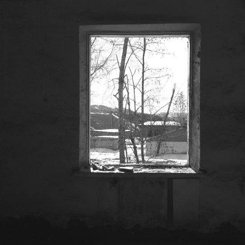 Photo #1028745