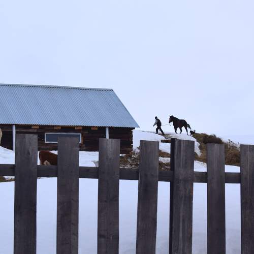 Photo #10250162