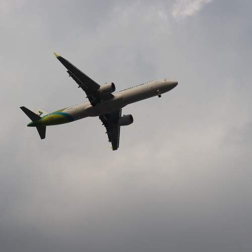 Photo #10250412