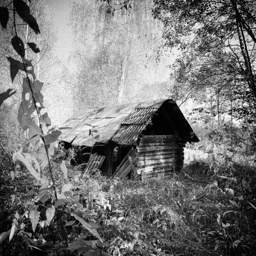 Фотография #10250570