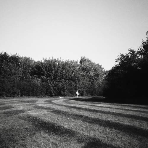 Photo #10250613
