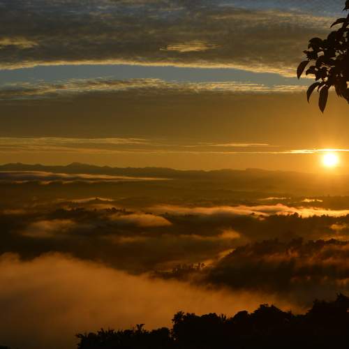 Photo #10250760
