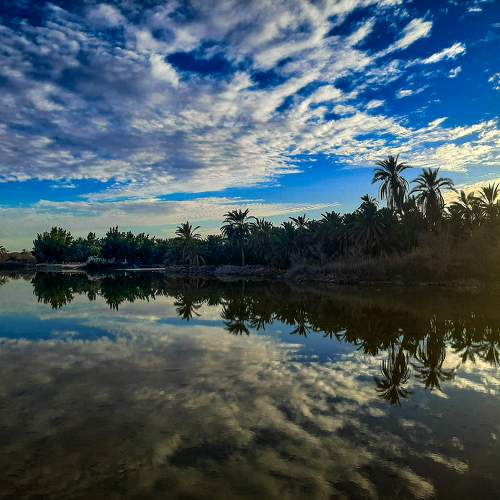 Photo #10250861