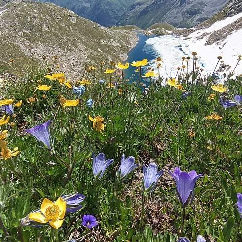 Photo #10251229