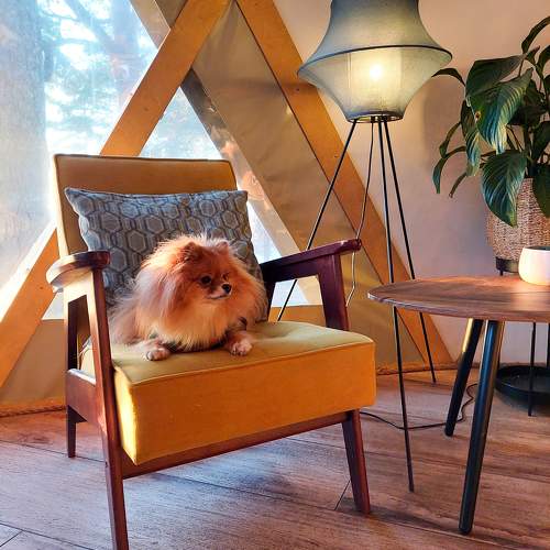 Photo #10251269