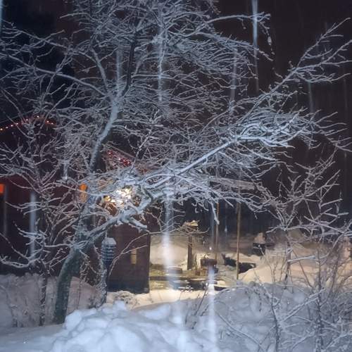 Photo #10251272