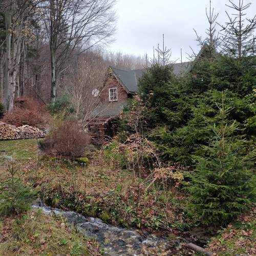 Photo #10251284