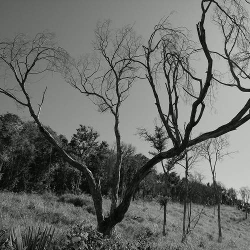 Photo #10252028
