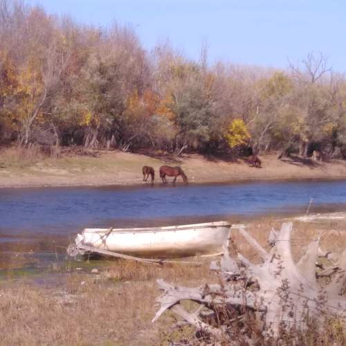 Photo #10252301
