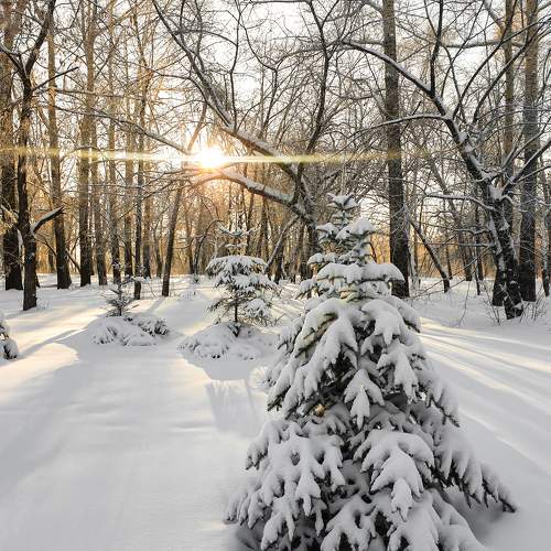 Photo #10252356
