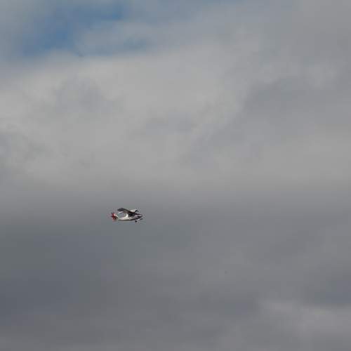 Photo #10252555