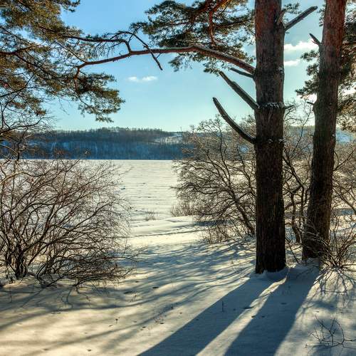 Photo #10253354
