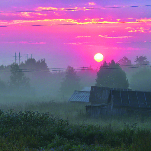 Photo #10253388