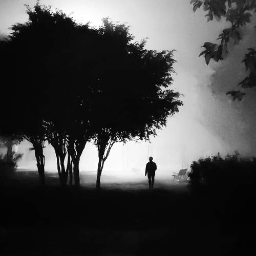 Photo #10253625