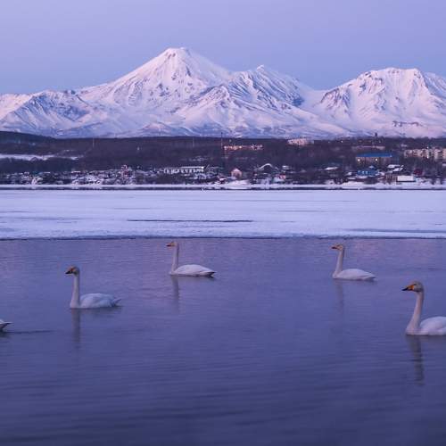 Photo #10254409
