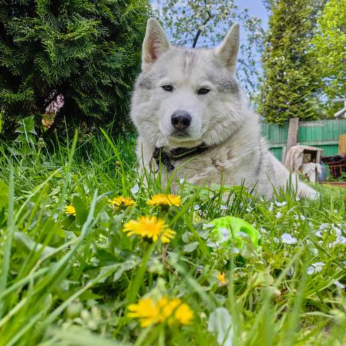 Photo #10254421