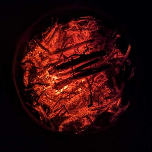 Photo #10254483