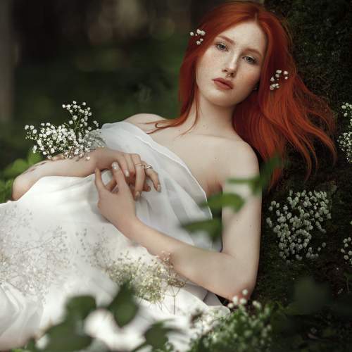 Photo #10254839