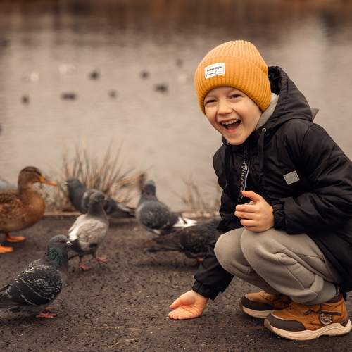 Photo #10255226