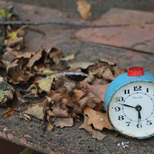 Photo #10255290