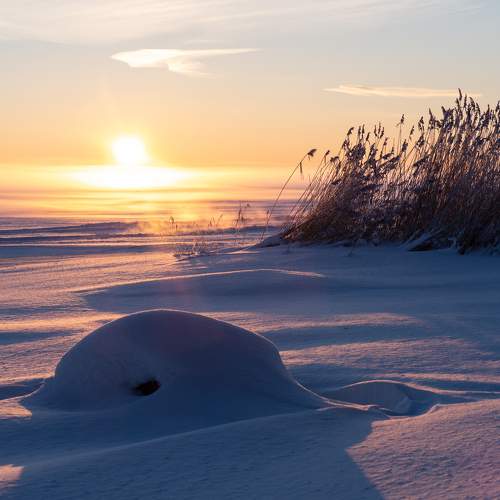 Photo #10255515