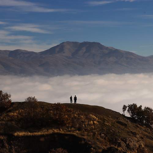 Photo #10255614