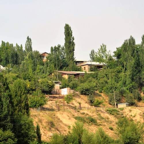 Photo #10255733