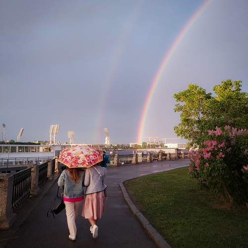 Photo #10255814