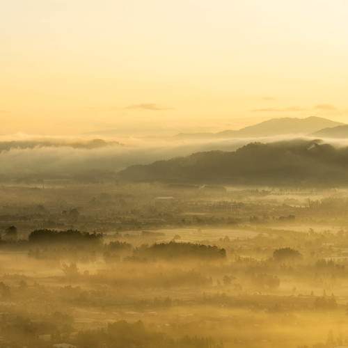 Photo #10256429