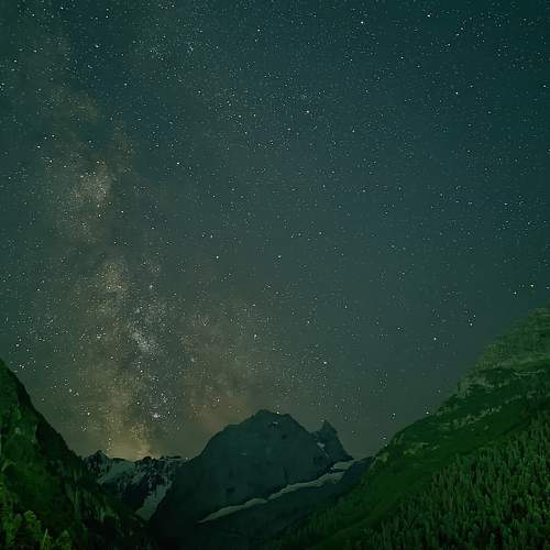Photo #10256489