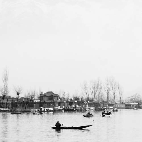 Nature's artwork in Kashmir.