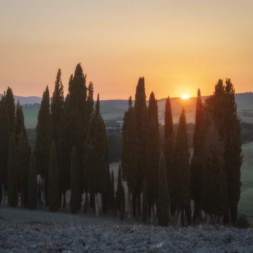 Photo #10257036