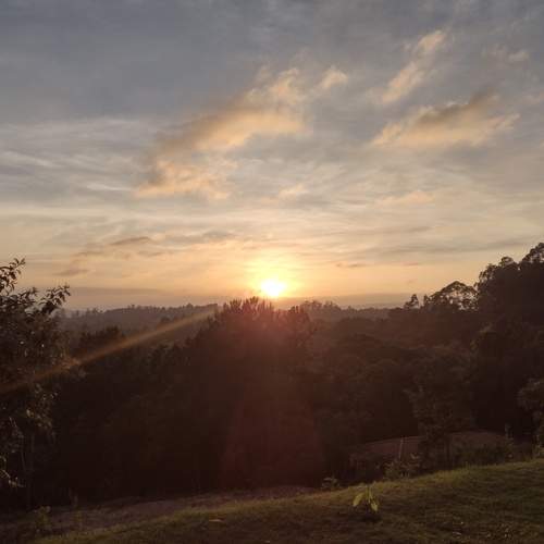 Photo #10257273