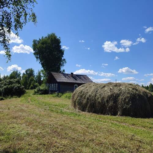 Photo #10257413