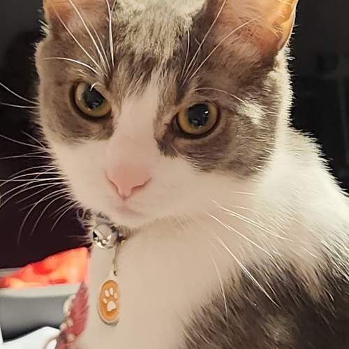 Photo #10257627