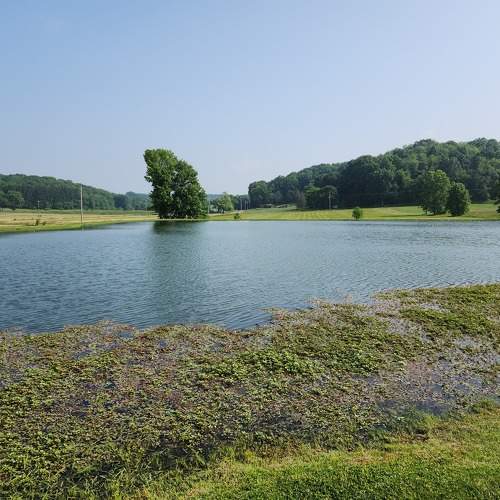 Photo #10257648