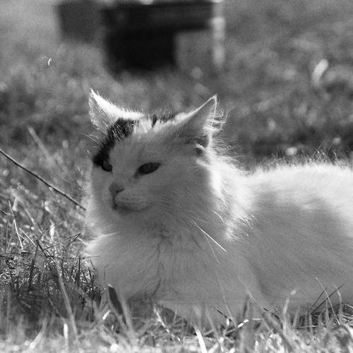 Photo #10257676
