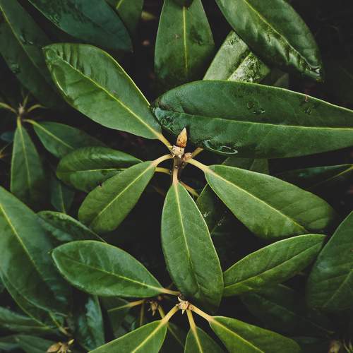Photo #10258015