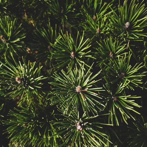 Photo #10258016
